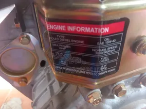 Primo Italy 10hp Diesel Engine Hl186fa