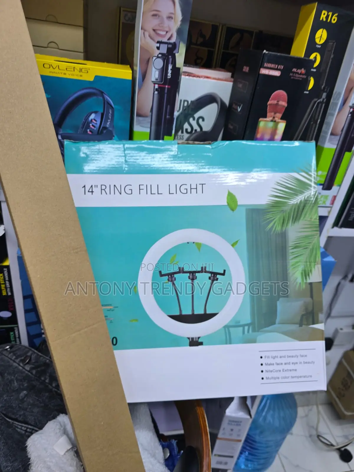 Qx360 14 Inch Led Ring Light With Tripod and Phone Holder