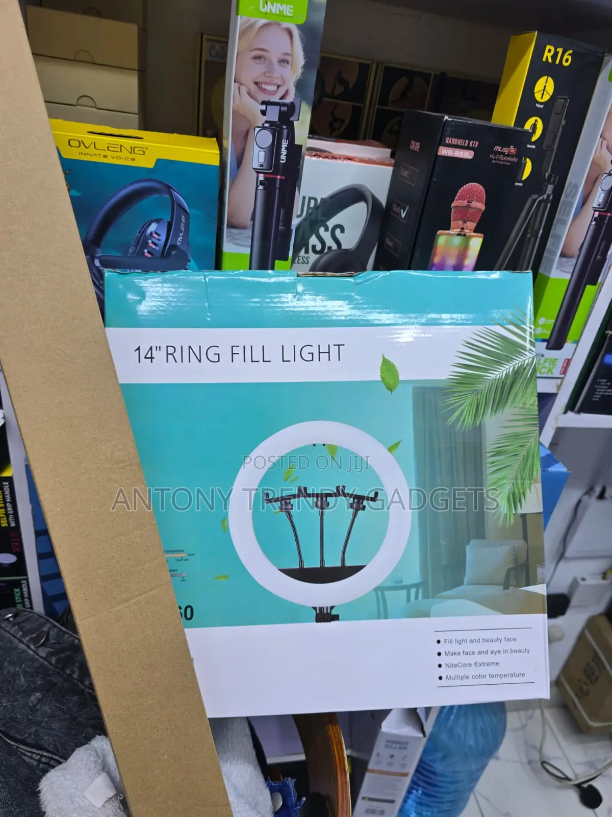 Qx360 14 Inch Led Ring Light With Tripod and Phone Holder