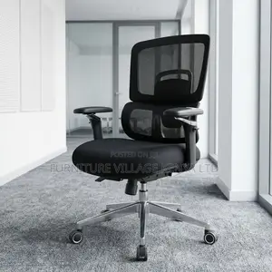 Modern Orthopedic Mesh Chair.