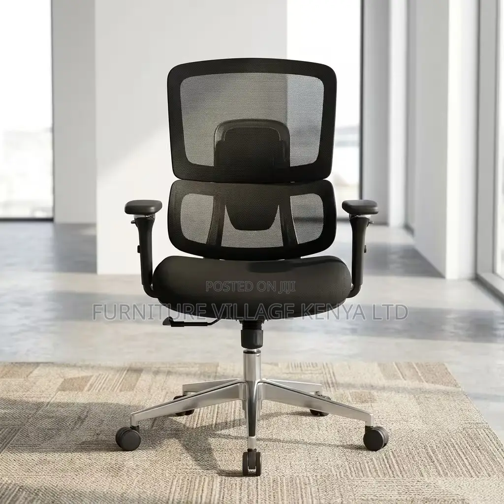 Modern Orthopedic Mesh Chair.