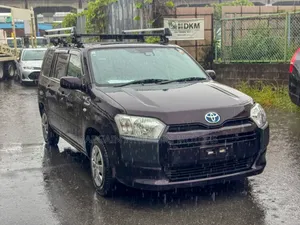 Toyota Succeed 2019 Purple
