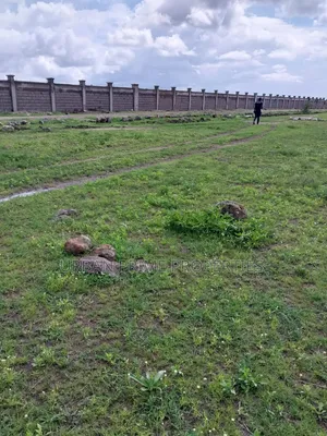Plots for Sale in Kitengela Kca