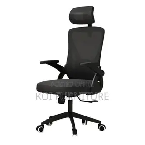 Office Chair : Premium High-Back Mesh Office Chair