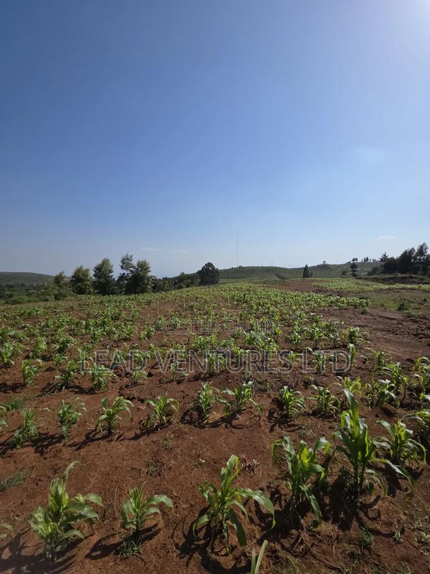 50×100 Plots at Kikuyu, Thigio
