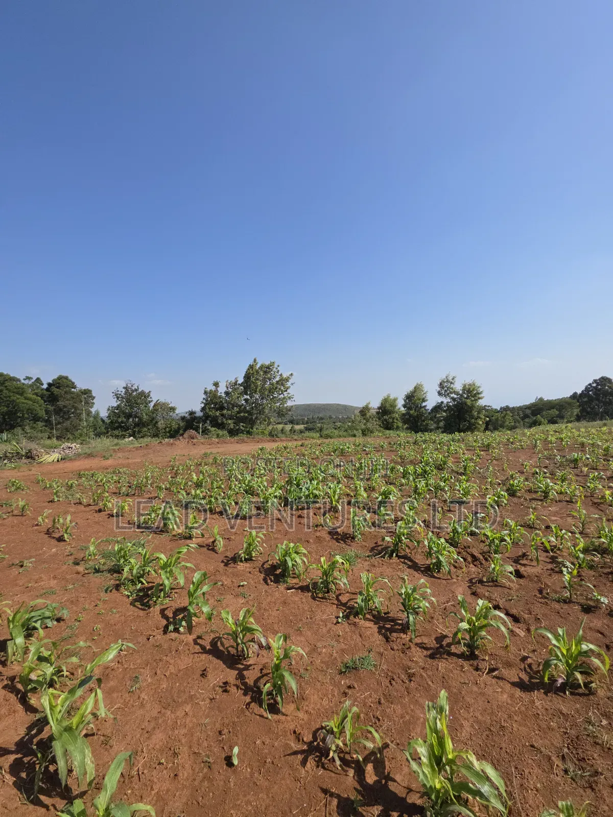 50×100 Plots at Kikuyu, Thigio