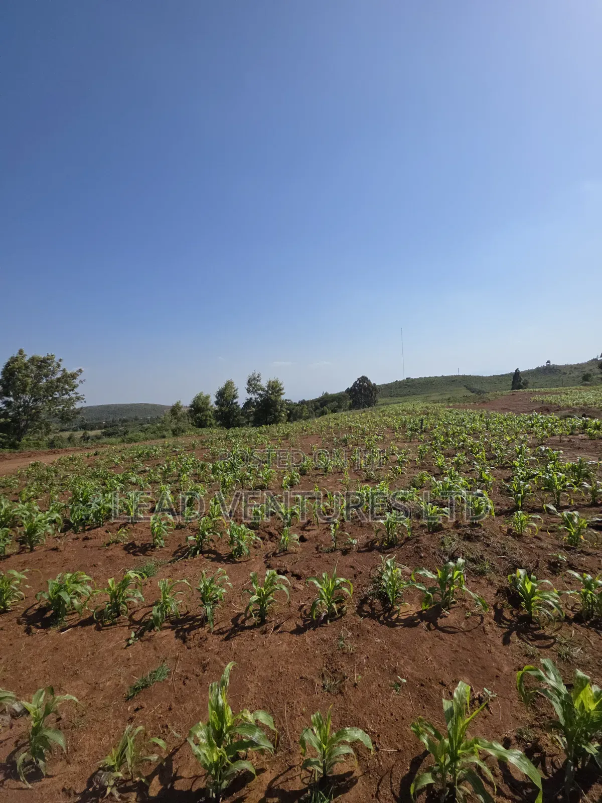 50×100 Plots at Kikuyu, Thigio