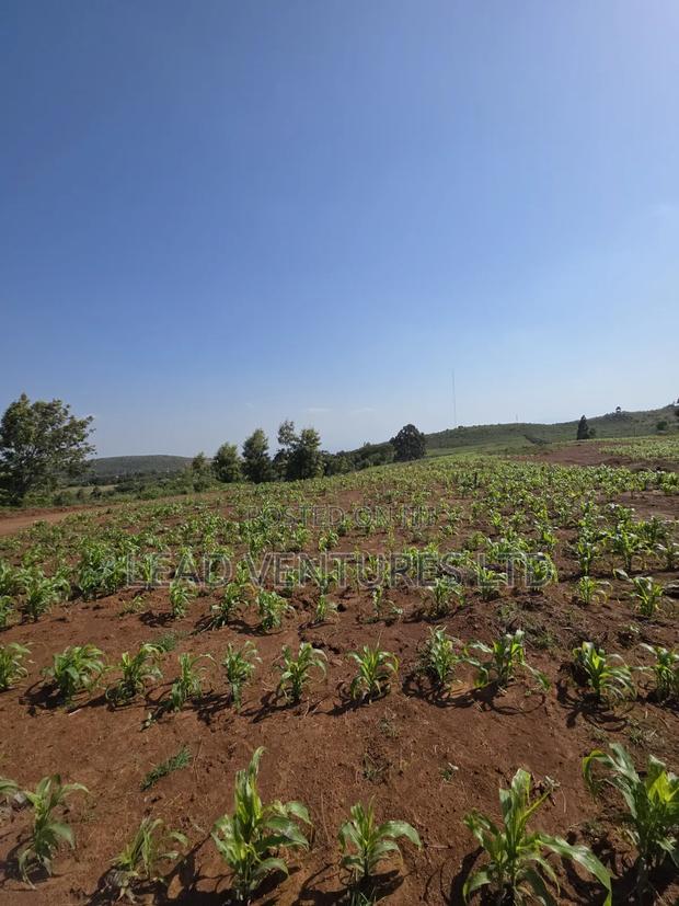 50×100 Plots at Kikuyu, Thigio - thumbnail 3