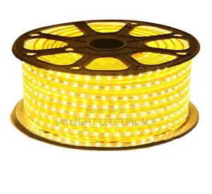 Smd5050 Led Rope Light High Quality 50m Gold Snakelight