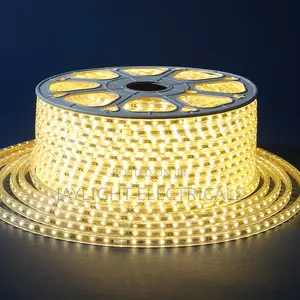 High Brightness Smd5050 - Ip65 Waterproof Flexible Led Light