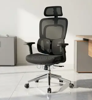 Office Chair : .Executive Lumbar Support Office Chair.
