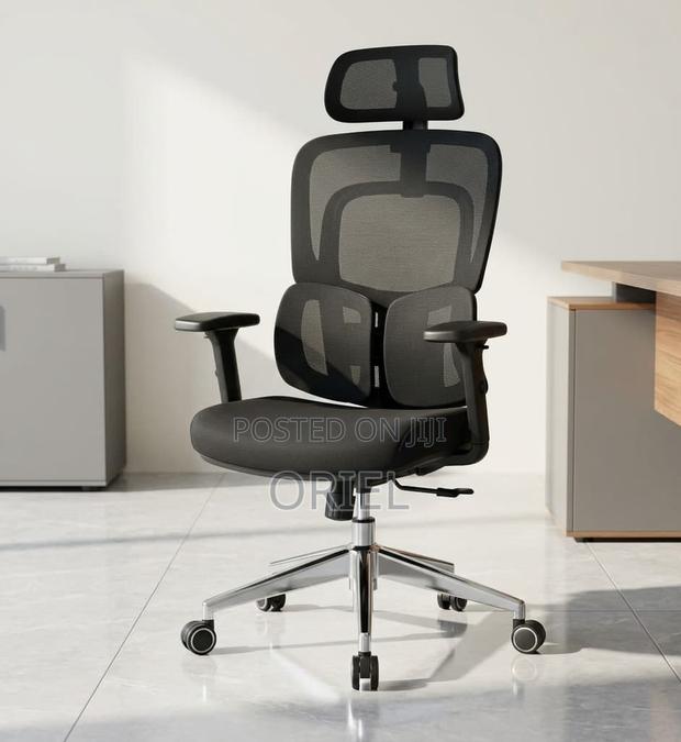 Office Chair : .Executive Lumbar Support Office Chair.