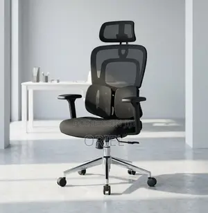 Office Chair : .Executive Lumbar Support Office Chair.
