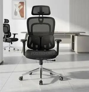 Office Chair : .Executive Lumbar Support Office Chair.