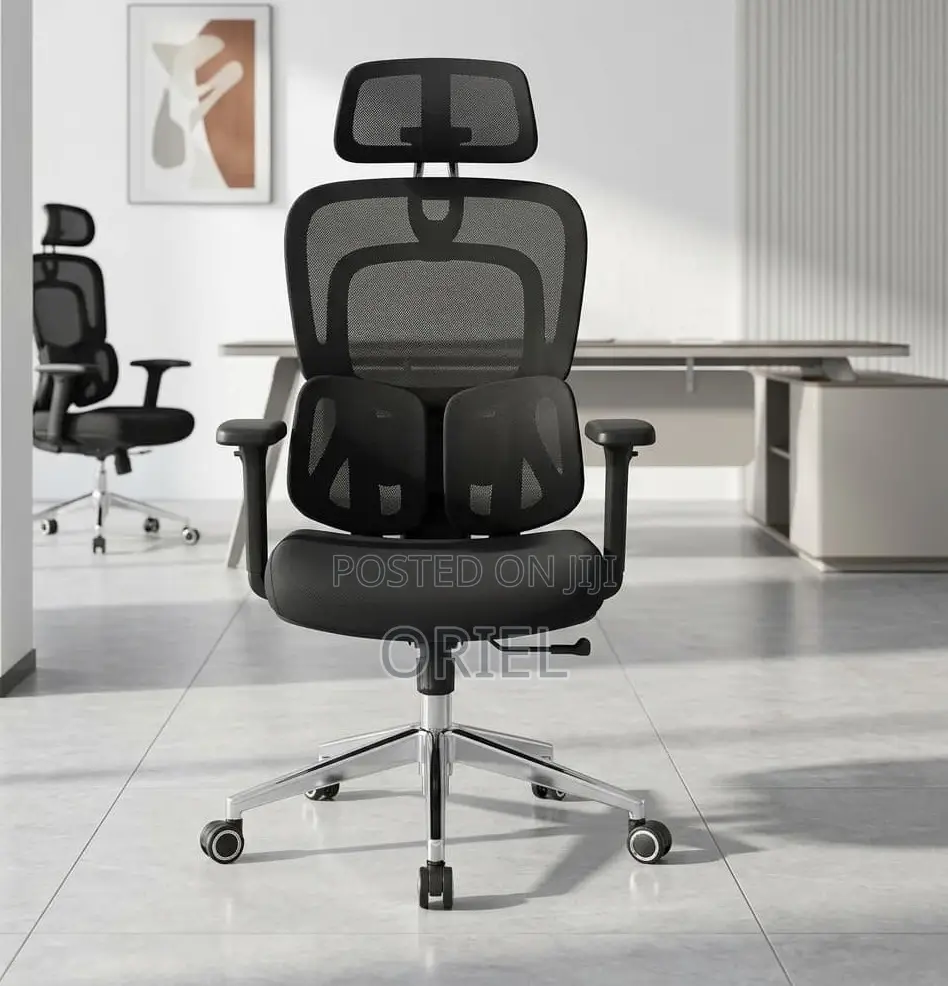 Office Chair : .Executive Lumbar Support Office Chair.