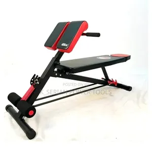 Adjustable Multi-Bench Roman Chair