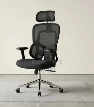 Office Chair : .Executive Lumbar Support Office Chair.