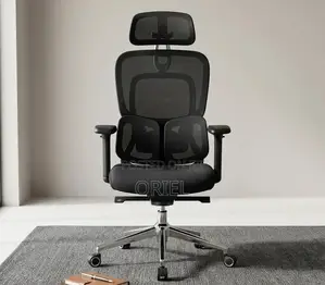 Office Chair : .Executive Lumbar Support Office Chair.
