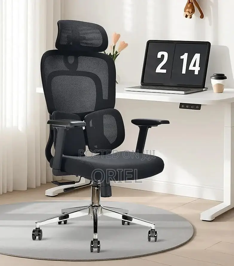 Office Chair : .Executive Lumbar Support Office Chair.