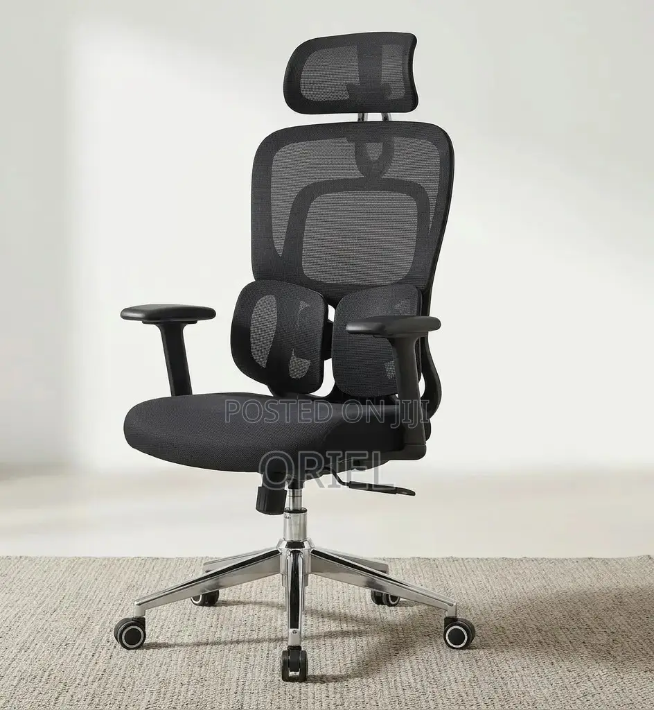 Office Chair : .Executive Lumbar Support Office Chair.