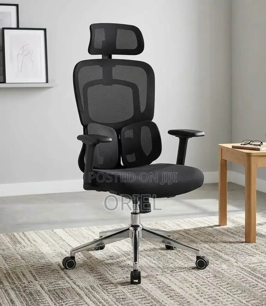 Office Chair : .Executive Lumbar Support Office Chair.