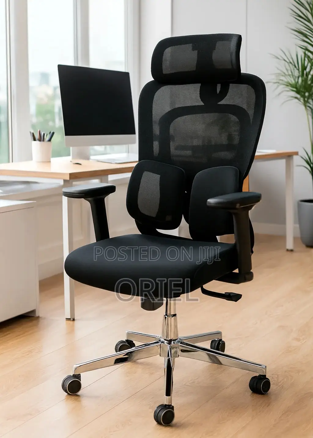 Office Chair : .Executive Lumbar Support Office Chair.