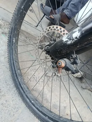 X-Rated Bicycle