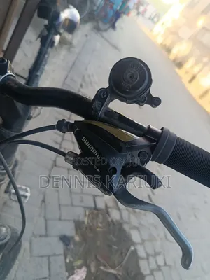 X-Rated Bicycle