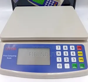 Heavy Duty Dt 580 Weighing Scale