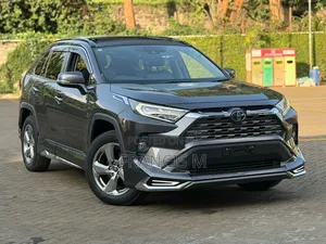 Toyota RAV4 Hybrid 2020 Gray