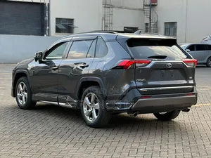Toyota RAV4 Hybrid 2020 Gray