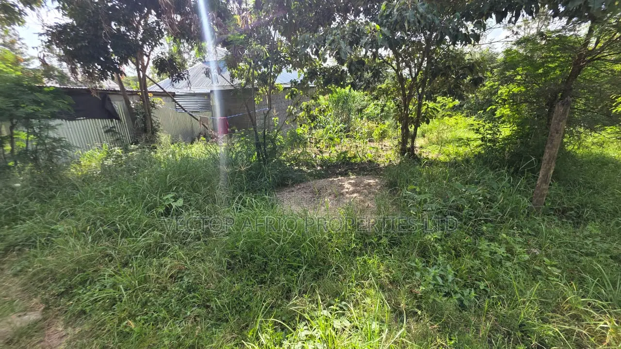 50*100 Plot for Sale