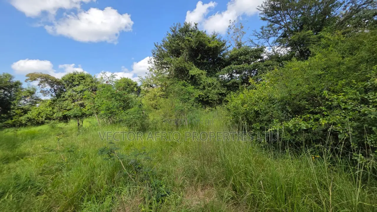 50*100 Plot for Sale