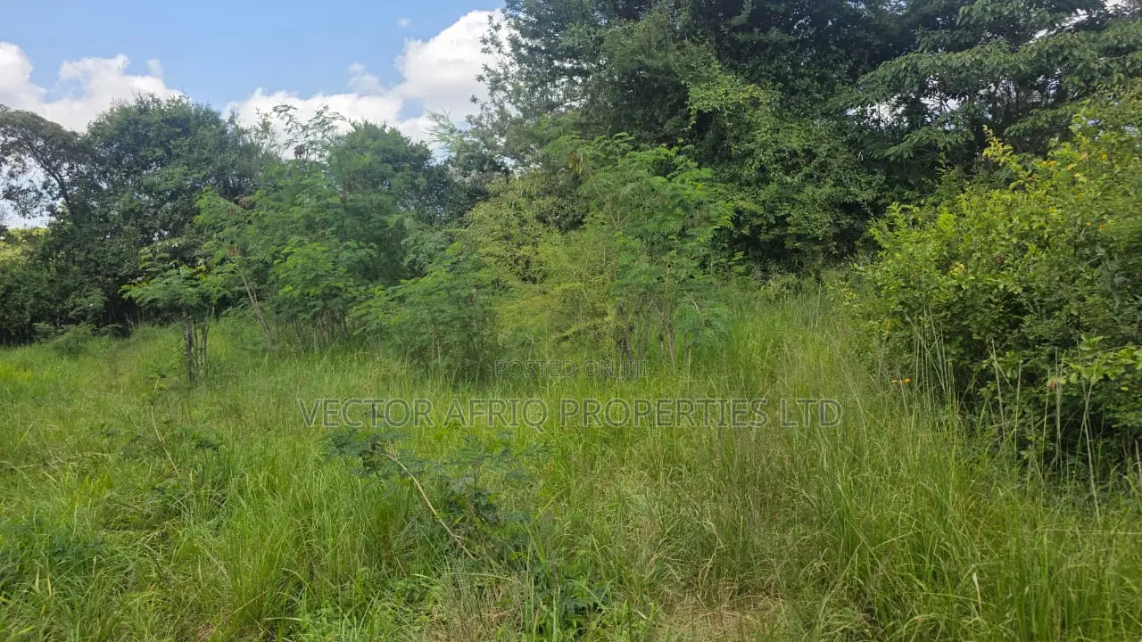 50*100 Plot for Sale