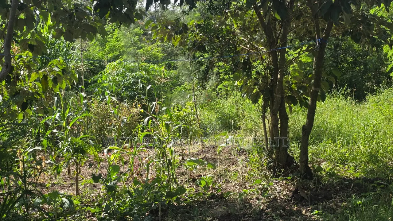 50*100 Plot for Sale