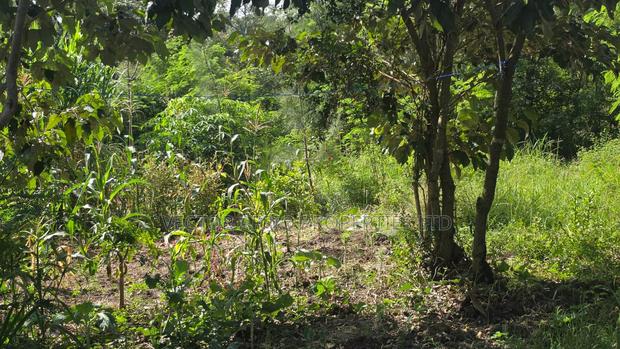 50*100 Plot for Sale - thumbnail 4