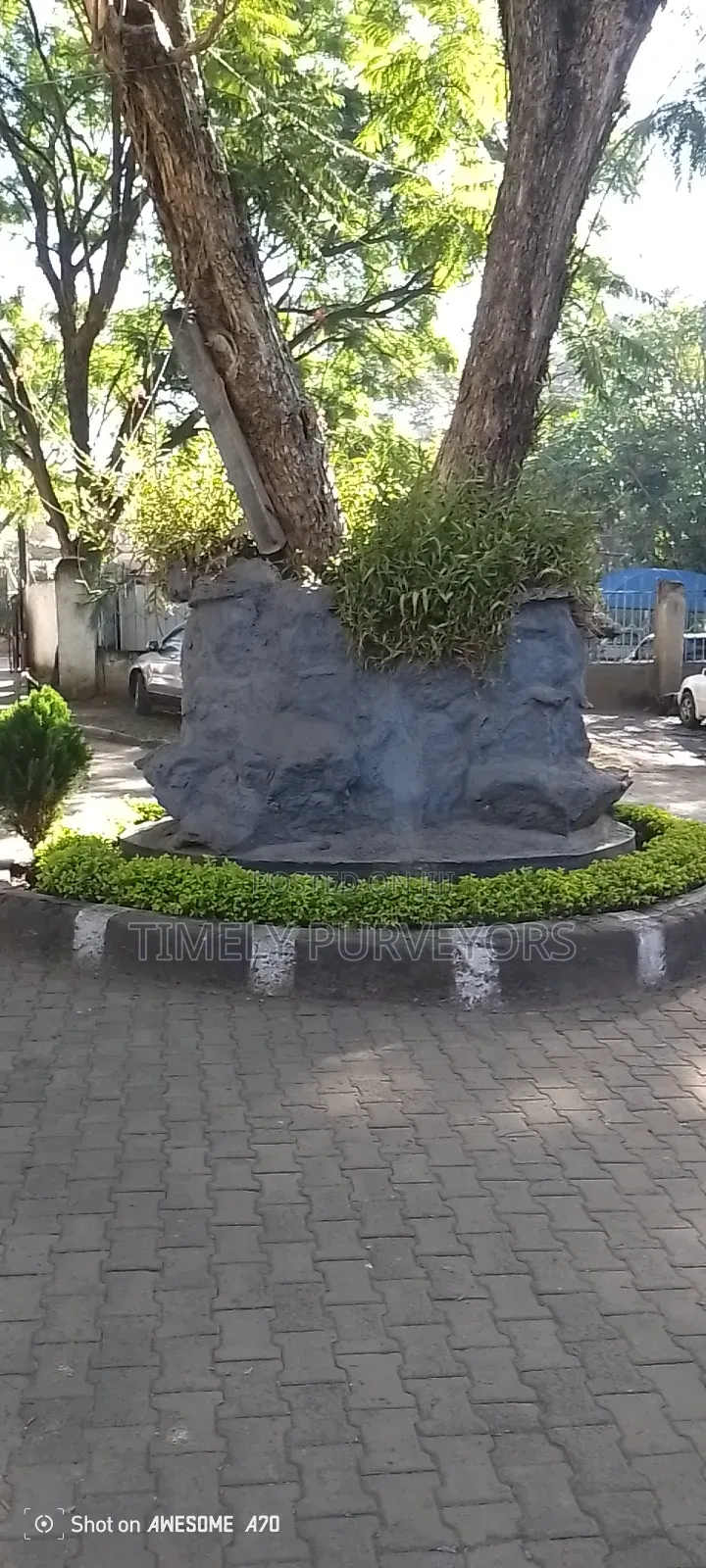 Landscaping Services