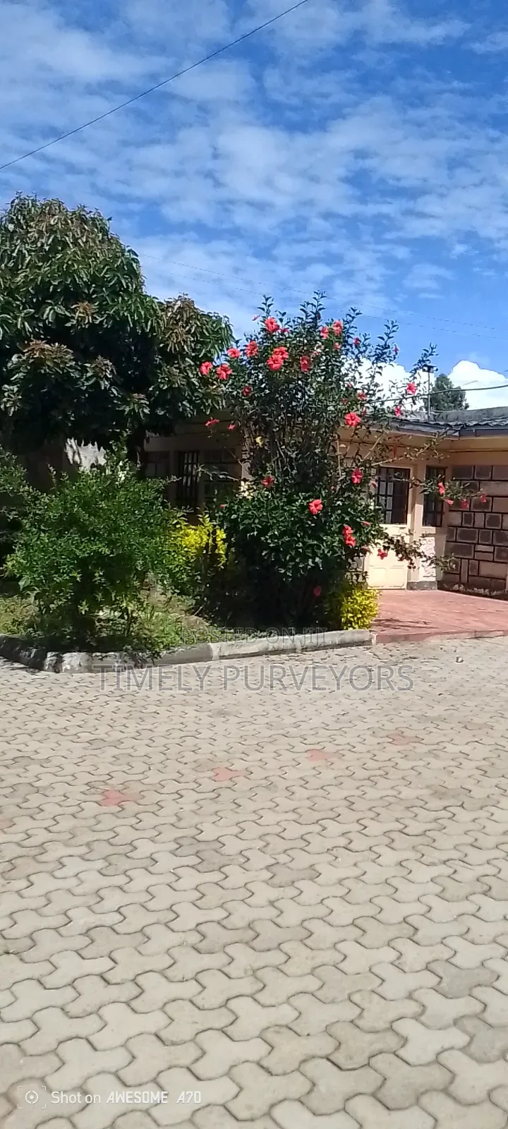 Landscaping Services