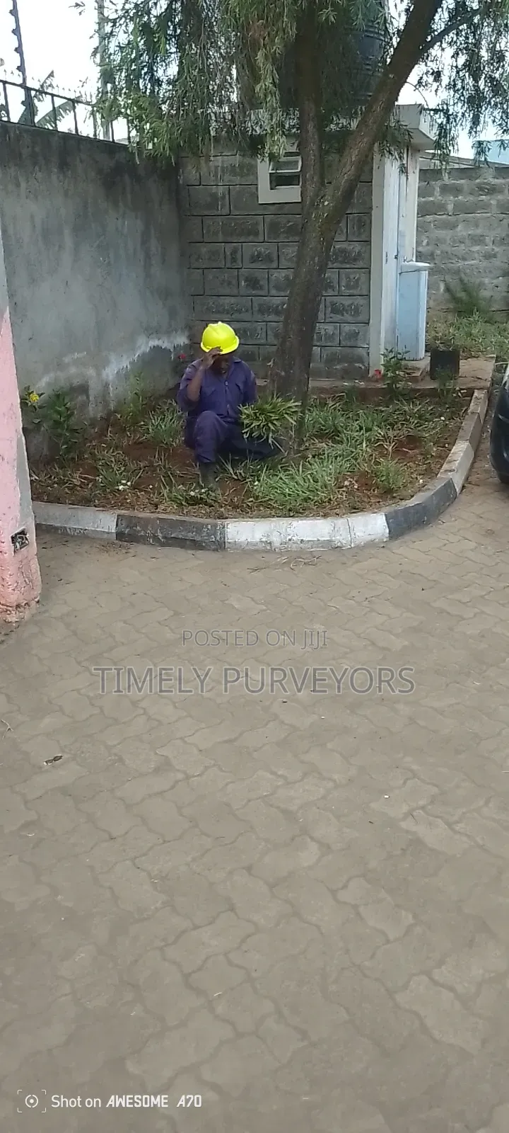 Landscaping Services
