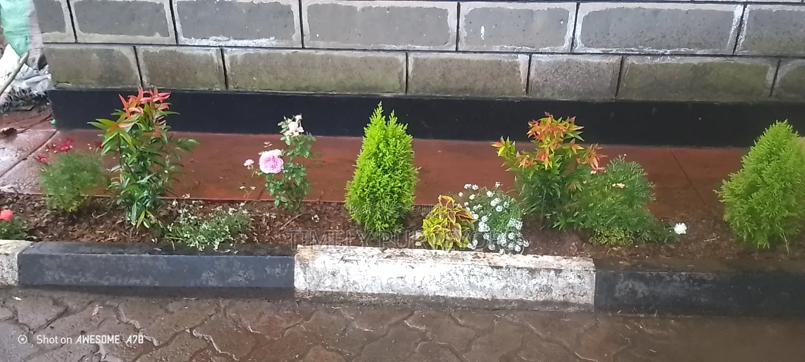 Landscaping Services