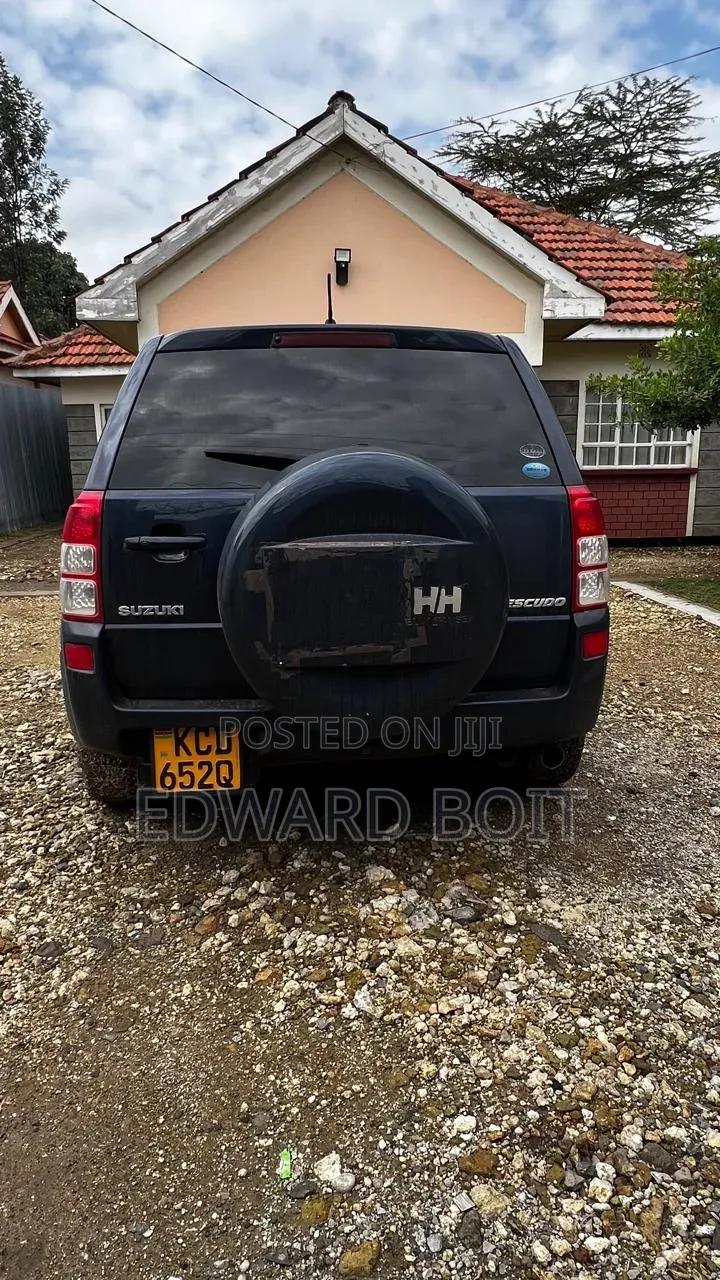 Suzuki Escudo 2008 Blue