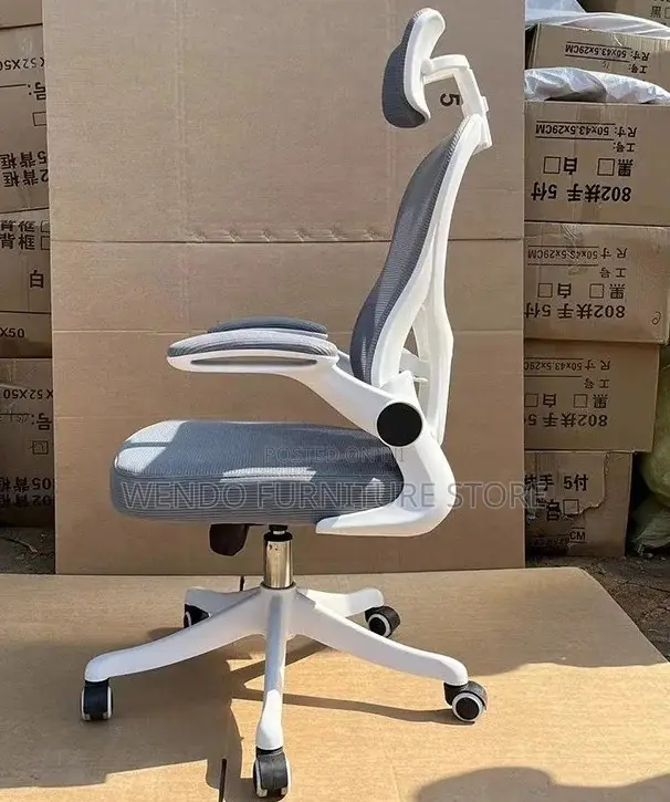Office Chairs; Fabric Ergonomic Office Place Chairs
