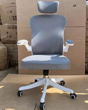 Office Chairs; Fabric Ergonomic Office Place Chairs