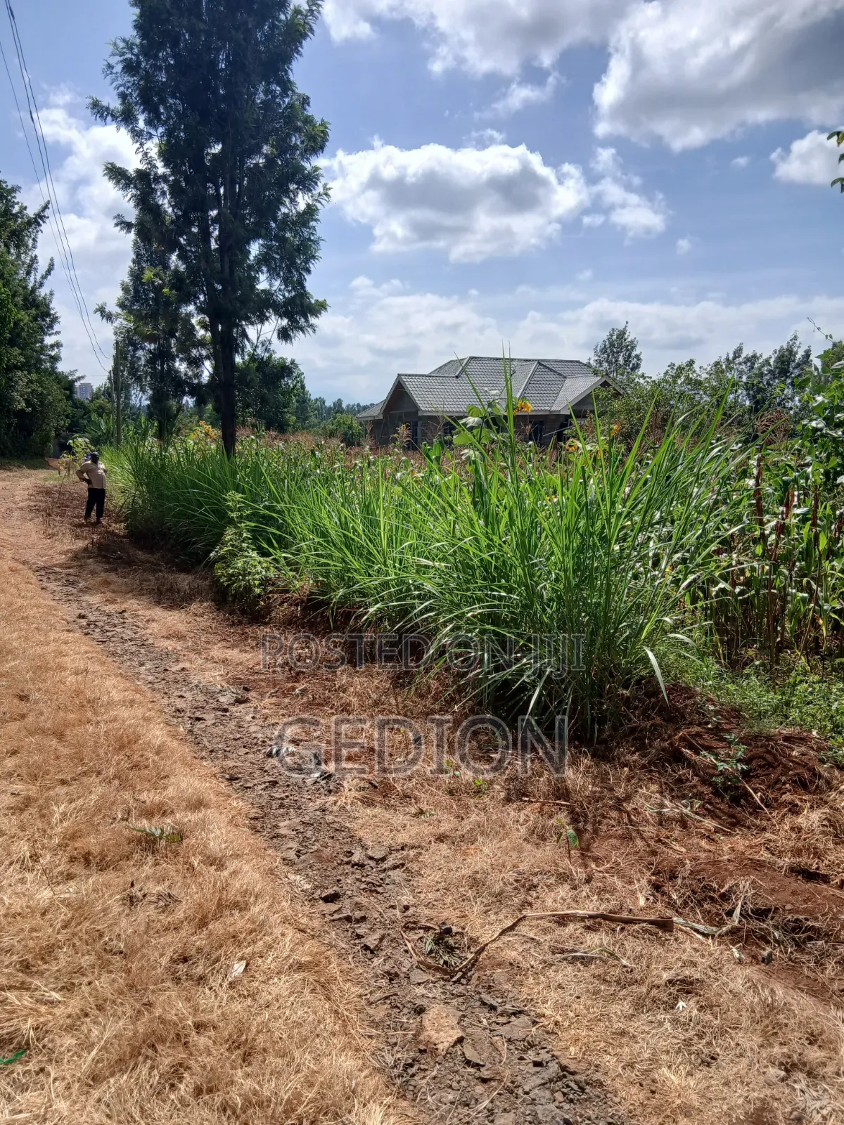 Prime Plot for Sale
