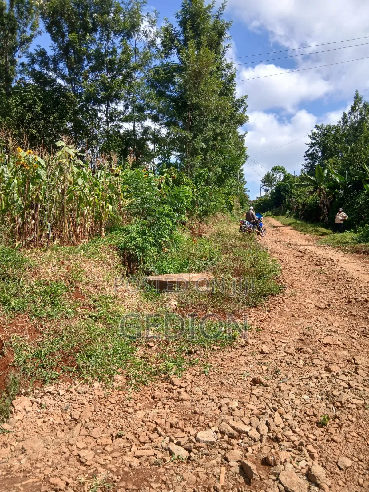 Prime Plot for Sale