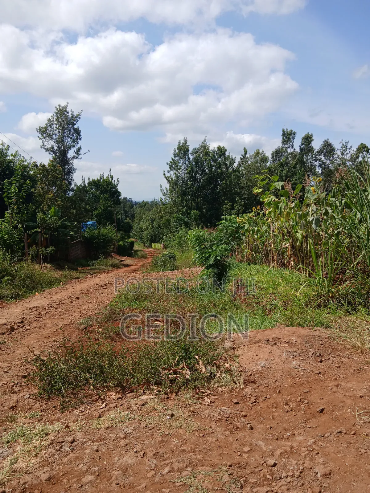 Prime Plot for Sale