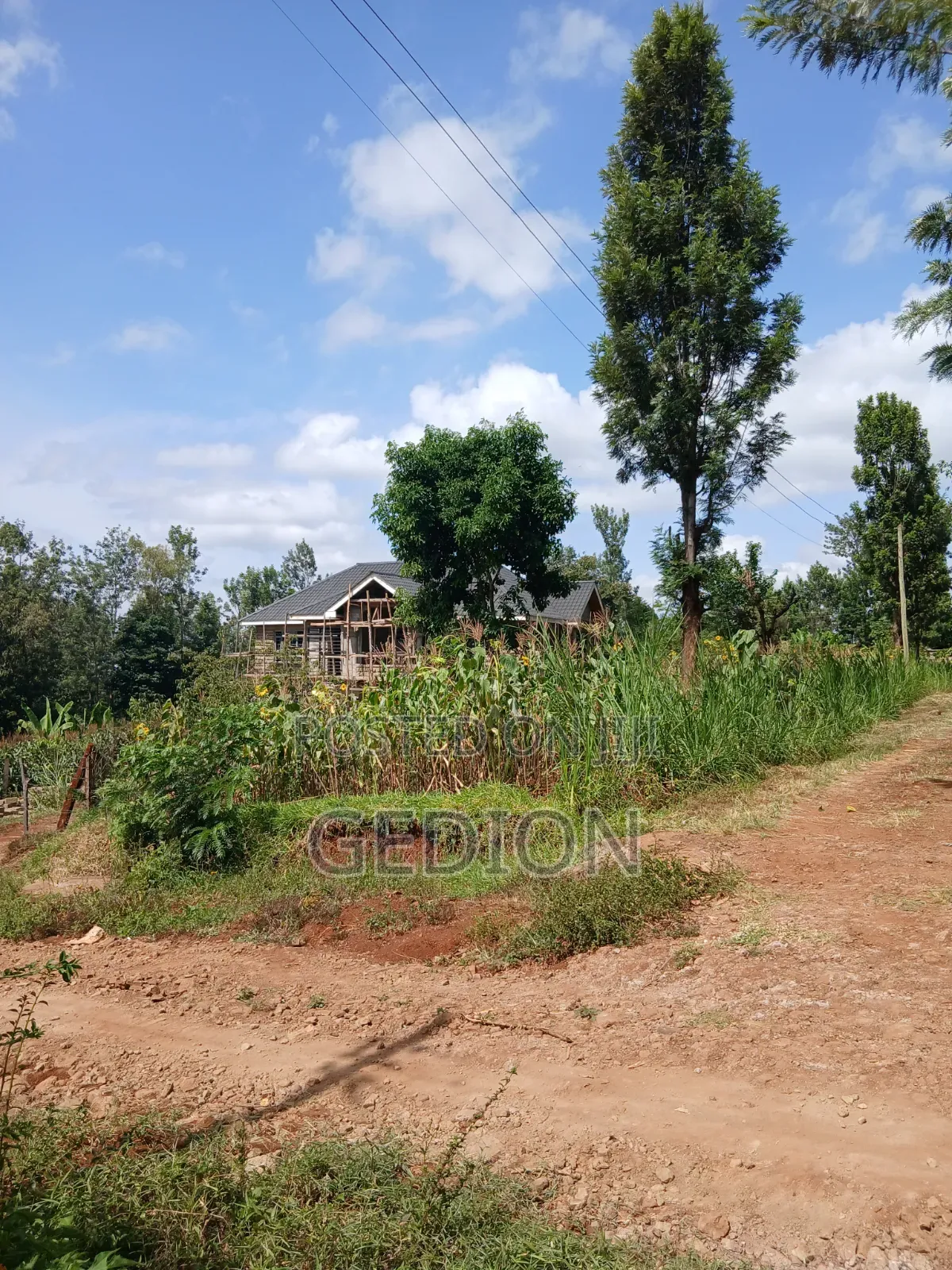 Prime Plot for Sale