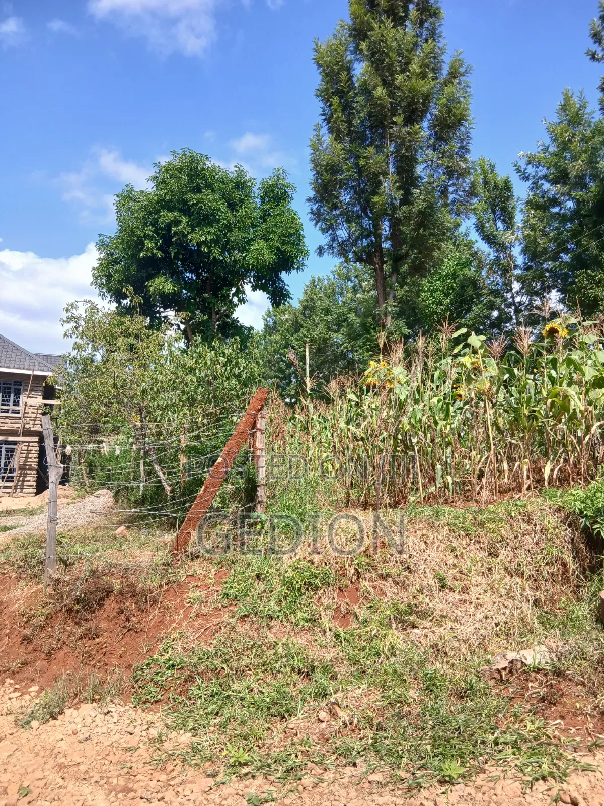 Prime Plot for Sale