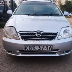 Toyota Corolla Fielder 2003 Silver