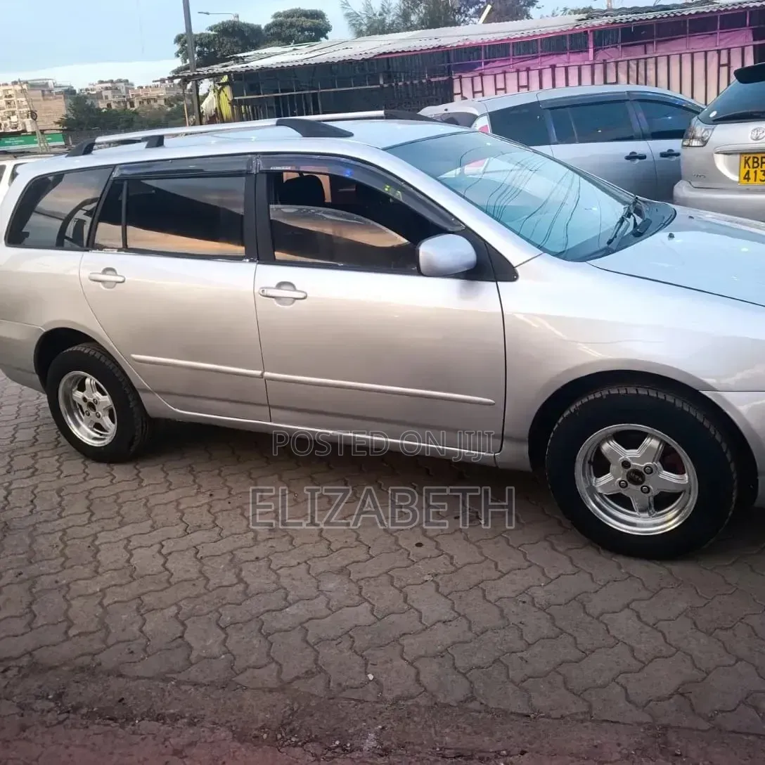 Toyota Corolla Fielder 2003 Silver